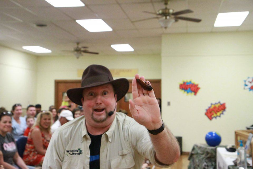 wildlife on the move man holding cockroach